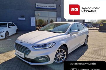 2.0 Ecoblue 190KM Titanium Salon PL FV23%