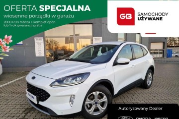 Wiosenne Porządki 1.5 Ecoblue 120KM Trend Winter Salon PL FV23% ASO