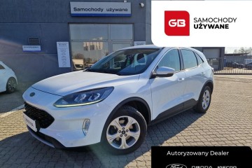 1.5 EcoBoost 150 KM Titanium + Winter, Salon PL