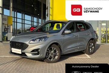 ST-Line Winter /4x4/ 2.0 EcoBlue 120 KM/ASO/PL Salon/ FV23%